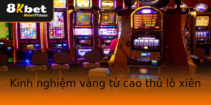 Kinh nghiệm vàng từ cao thủ lô xiên Kinh nghiệm vàng từ cao thủ lô xiên