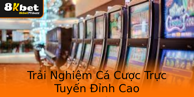 Trải Nghiệm Cá Cược Trực Tuyến Đỉnh Cao Trải Nghiệm Cá Cược Trực Tuyến Đỉnh Cao